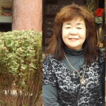 柳沼行政書士・社会保険労務士事務所